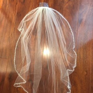 Beautiful David’s Bridal Veil